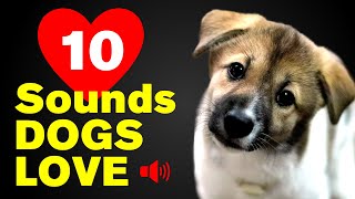 10 Sounds that Dogs love the most [upl. by Center]