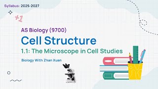 ALevel AS Biology 9700  Chapter 1 Cell Structure  The Microscope in Cell Studies [upl. by Lyrrehs]