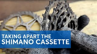 Taking Apart the Shimano Cassette Is it possible YES [upl. by Naryt]