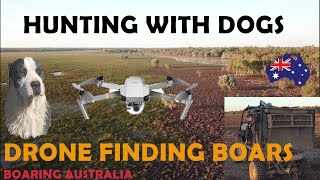 PIG HUNTING AUSTRALIA  Hunting wild boar using drone to find pigs Action video [upl. by Idou]