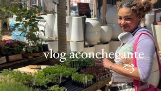 vlog aconchegante floricultura brechó livro [upl. by Joycelin]