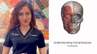 Understanding Facial Muscles for EMFACE treatment [upl. by Sellig691]