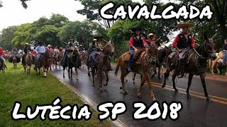 Cavalgada Lutécia SP 2018  74 anos   Tradição 100 [upl. by Onit510]