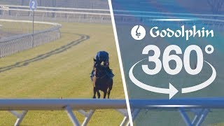 Experience the Godolphin stables in 360° [upl. by Xymenes]