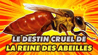 Comment devenir REINE DES ABEILLES  cest cruel 🐝 [upl. by Aicelef]