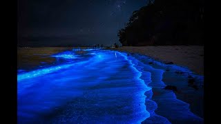 Jervis Bay After Dark [upl. by Akla]