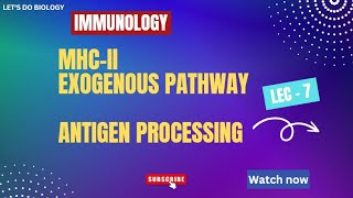 MHCII antigen presentation Exgenous pathway of antigen processing Lecture 7 Immunology csirnet [upl. by Jermain]