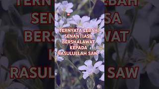 TERNYATA LEBAH SENANTIASA BERSHALAWAT KEPADA RASULULLAH SAW kajianislam shalawat dalamislam dala [upl. by Akinnej]