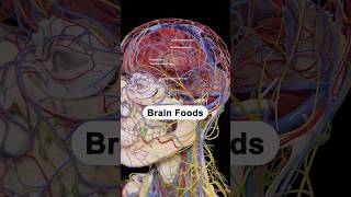 brain foods  brain foods for memory  best food for brain shorts [upl. by Zsuedat822]