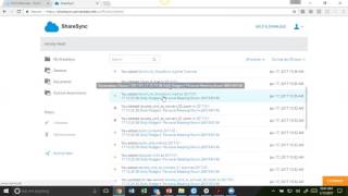 ShareSyncFeatures Tutorial [upl. by Olwen]
