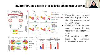 JC101 The angiopoietin receptor Tie2 is atheroprotective inJawaria Siddiqui [upl. by Tram]