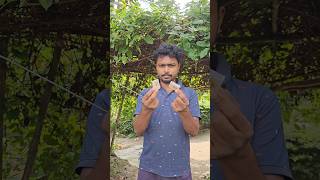 দীপাবলি উপলক্ষে 5 টাকায় বাজি বানালামbengalishortsvlog bengaliminivlog diwali বাজি [upl. by Willner]