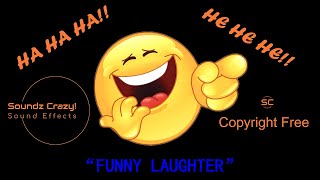 Funny Laughter  Hysterical Laughing Sound Effects No Copyright [upl. by Ahsenad]