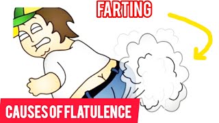 FLATULENCEFartingcauseshome remedies [upl. by Haerb]