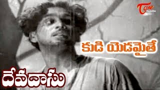 ANR Old Songs ANR Devadasu Movie  Kudi Yadamaithe Song  ANR  Savitri  OldSongsTelugu [upl. by Adelaja791]