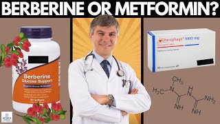 Berberine vs Metformin Glucophage – A Doctor Reveals Which One To Choose In 2022 [upl. by Adolphus]