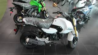 New 2025 Honda Grom Motorcycle For Sale In Medina OH [upl. by Leacim]