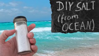 How to Make salt from seawater diy makeityourself [upl. by Ingalls]