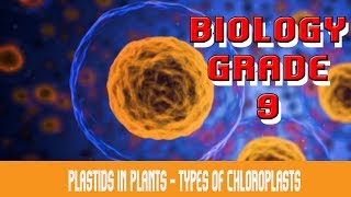 The Cell  Plastids  Introduction  Forms Of Plastids  Plastids In Plants amp Algae  Part 19 [upl. by Ynoep]