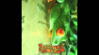 Phyllomedusa  Greenhand Full Album [upl. by Eula]