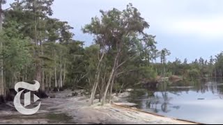 Sinkhole in Louisiana Swallows Trees  Caught on Tape 2013  The New York Times [upl. by Eirrot]