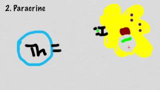 Mechanisms Of Cytokine Signaling [upl. by Ettenav164]