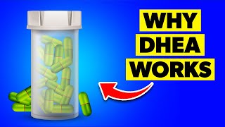 What Happens If You Take DHEA Supplements Every Day [upl. by Aimil]