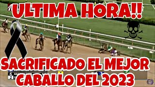 SE NOS FUE EL MEJOR CABALLO DEL 2023 hipicatv caballosdecarreras ultimahora hipismo INCREÍBLE [upl. by Gino]