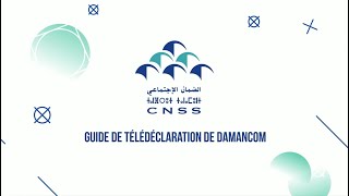 Nouveau DAMANCOM  Guide de Télédéclaration [upl. by Justis325]