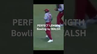 PERFECT lineamplength bowling by WALSH fastbowlingbasics fastbowlingfitness [upl. by Aranat131]