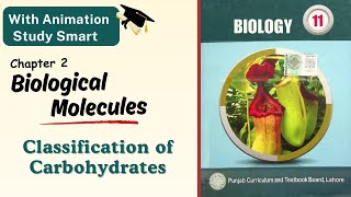 Classification of carbohydrates  Class 11  1st year  Chapter 2  Punjab board  Biology [upl. by Nidya]