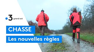 Plan de sécurité de la chasse  réactions de chasseur lors dune battue [upl. by Antonietta35]