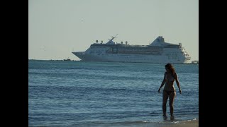 Spotting at Miami Beach with the Nikon P1000quotSpy Zoomquot [upl. by Copp]