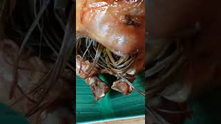 Roasted Chicken at toyomansiyoutubeshorts [upl. by Asert927]