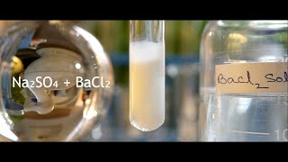 Double displacement of Na2SO4  BaCl2  Sodium sulphate  Barium chloride  Precipitation reaction [upl. by Lipp]