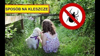 Kleszcze w ogrodzie Jak się pozbyć Naturalne sposoby [upl. by Edholm]