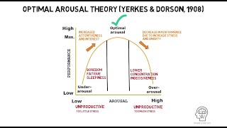 Optimal Arousal Theory by Yerkes and Dorson 1908 [upl. by Valeria]