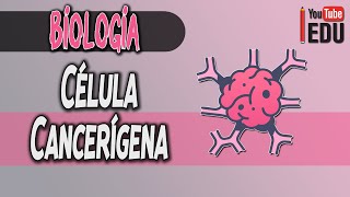 O QUE É O CÂNCER e COMO ele ACONTECE  DRAUZIO VARELLA E GUSTAVO PRADO [upl. by Rainer]