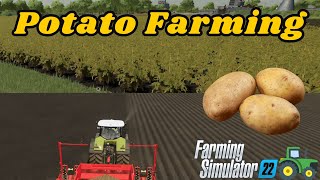 FS22  Potato Guide Planting  Harvesting and More  Farming Simulator 22 [upl. by Colette]