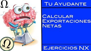 Exportaciones Netas  Ejercicios NX  Método Nº1  Tu Ayudante Economía [upl. by Berhley]