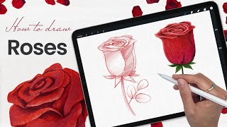 How To Draw A Rose • Paper amp Pencil or Procreate Tutorial • Valentines Day Art [upl. by Aivatra]