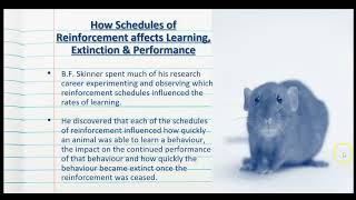 Schedules of Reinforcement in Operant Conditioning  The Psychology of Learning  Stage 2 Psychology [upl. by Annoyek]