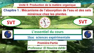 Lessentiel du cours mécanisme dabsorption de leau et les sels minéraux chez les plantes [upl. by Aicella]