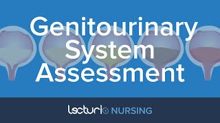 Nursing Assessment of the Kidneys amp Genitourinary System  Physical Assessment [upl. by Amice]