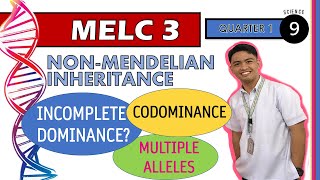 NonMendelian Patterns of Inheritance  Week 5  SCIENCE 9  QUARTER 1 MELC 3 [upl. by Kyriako244]