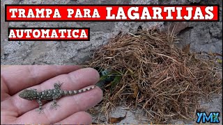 Trampa Para LAGARTIJAS Iguanas Y REPTILES Casera en Acción TUTORIAL YMX SUPERVIVENCIA [upl. by Reichel]