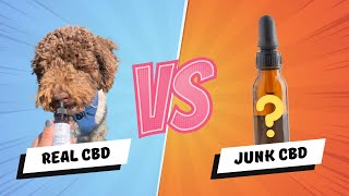 Best Dog CBD CBD oil for dogs anxiety review [upl. by Erastes]