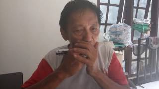 Harmonica Play Old chinese song 24 Hole suzuki winner double C [upl. by Eerpud461]