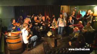 Dervish  Traditional Irish Music from LiveTradcom Clip 4 [upl. by Hakim]