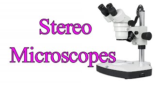 Stereo microscope I Stereo zoom microscope I Dissecting microscope I Stereo Vs light microscope [upl. by Asirac]